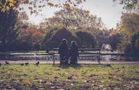 在都柏林秋天的公园长凳上，一对浪漫的夫妇坐在落叶和自然风景中