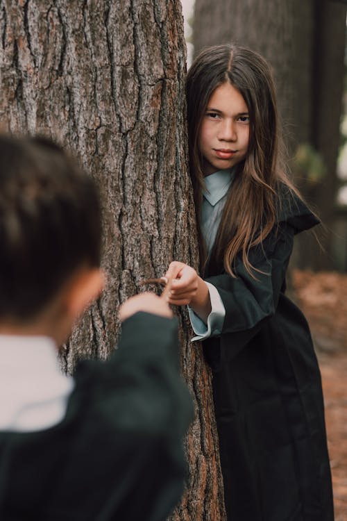 Kostenloses Stock Foto zu cosplay, gryffindor, harry potter