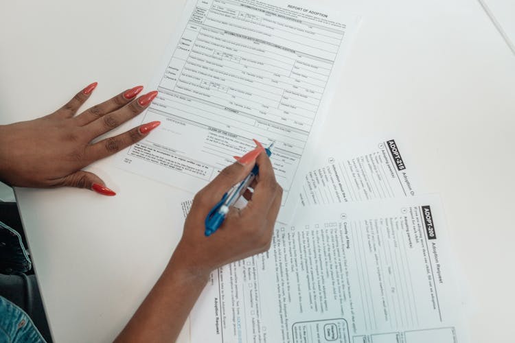 A Person Filling Out Adoption Request Documents