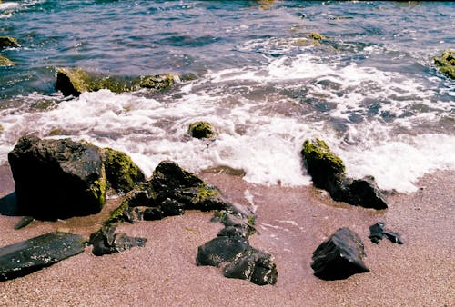 Mossy Rocks in the Beach Shore