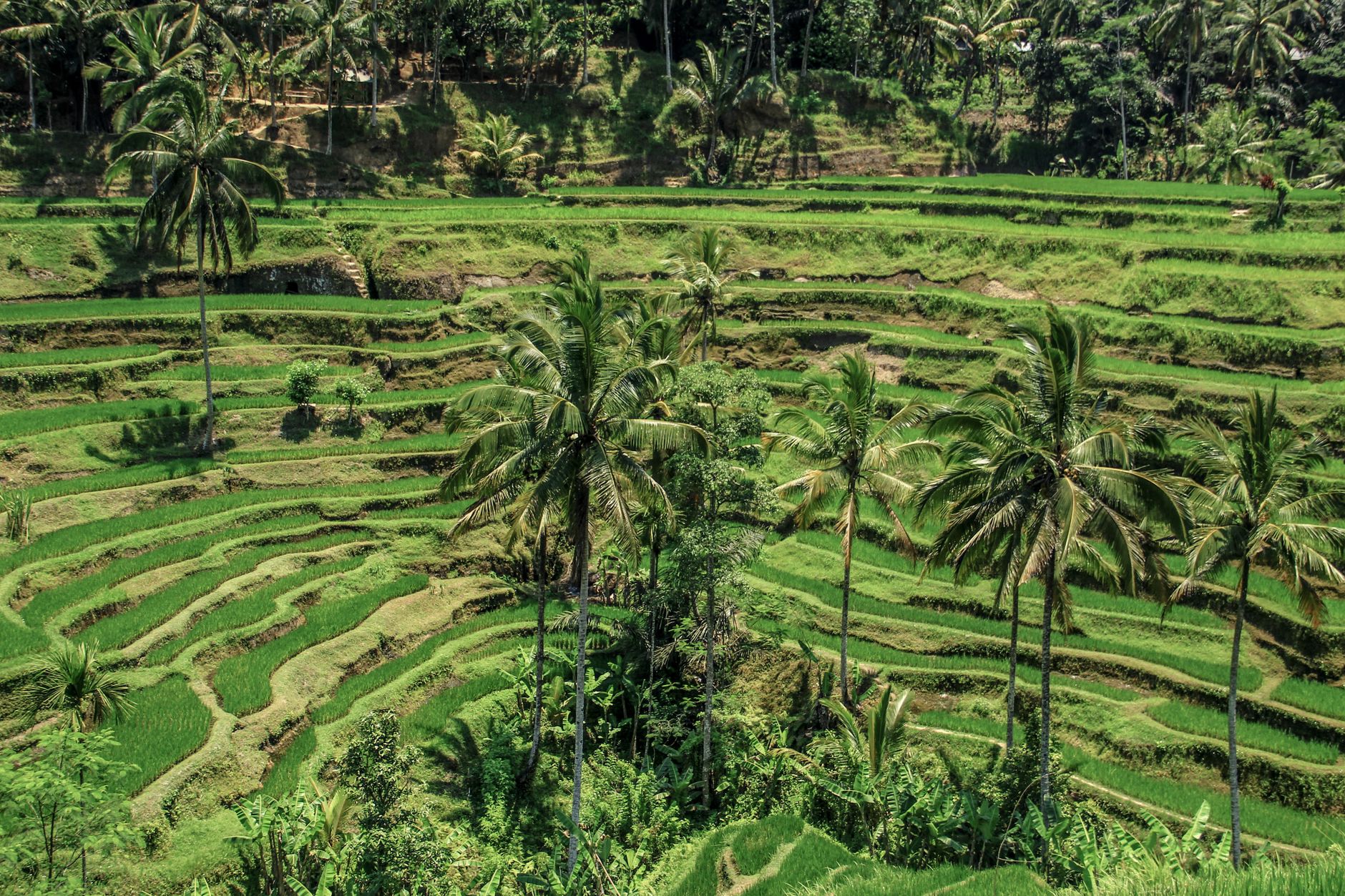 Bali, Indonesia