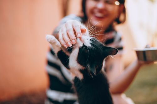 Free A joyful woman petting a friendly black and white cat outdoors on a sunny day. Stock Photo