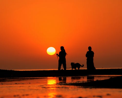 Silhouette of People Walking on the Beach During Sunset