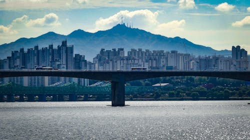 Free stock photo of seoul