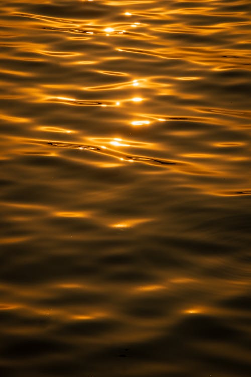 Reflection of Light on a Body of Water