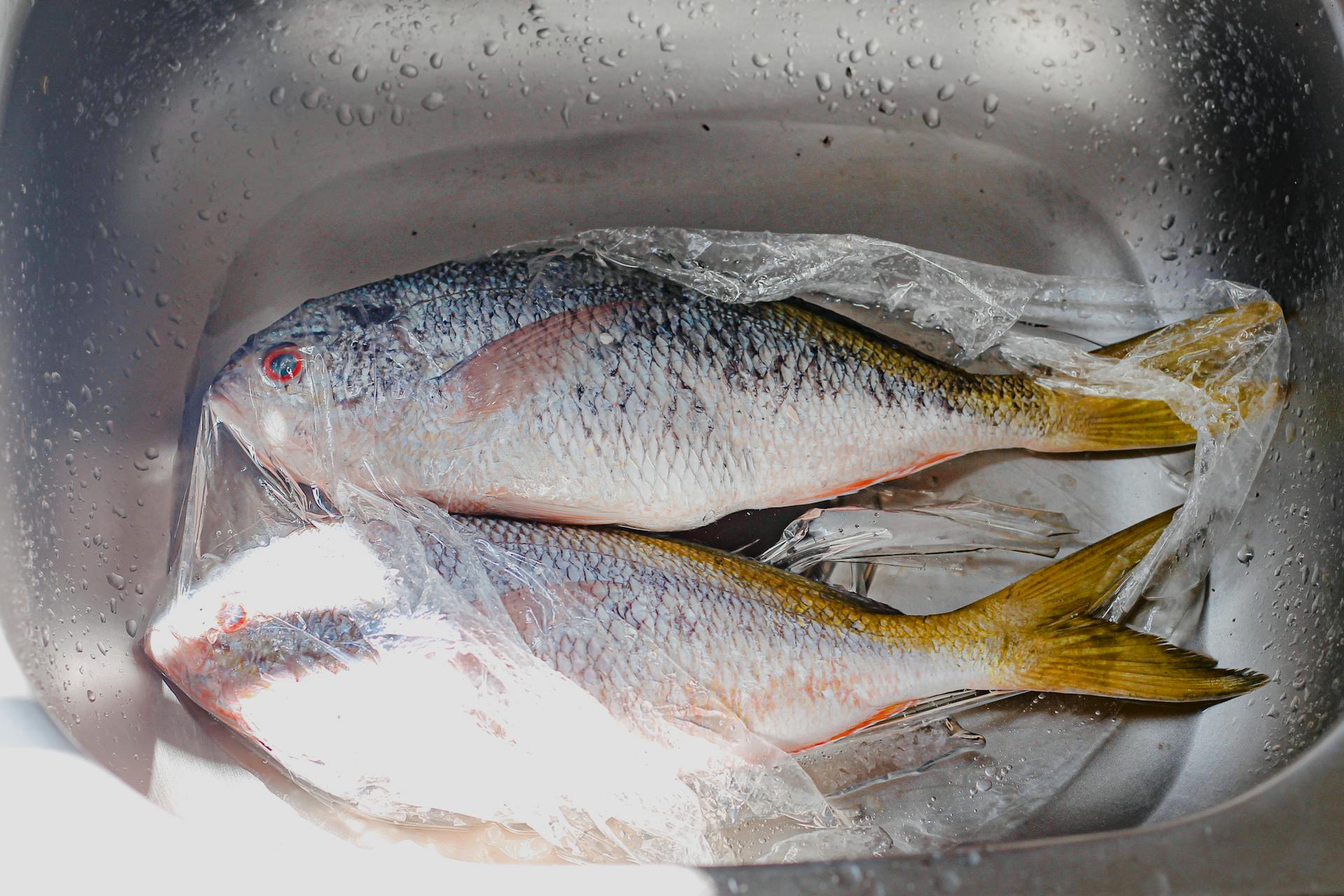 Two fresh fish wrapped in plastic lying in a metal sink, top view.