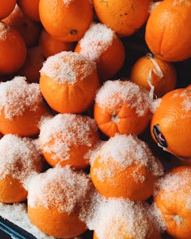 Close-up of fresh frost-covered oranges at an Istanbul market, showcasing vibrant colors against a winter backdrop.