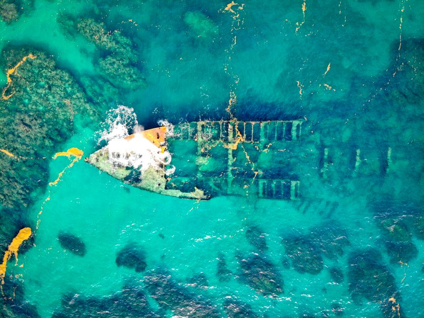 Prehistoric Ocean Anoxia Caused Mass Extinction During Permian Period