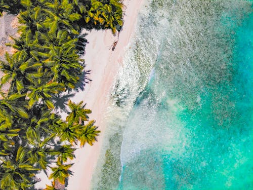 Aerial View of a Tropical Beach