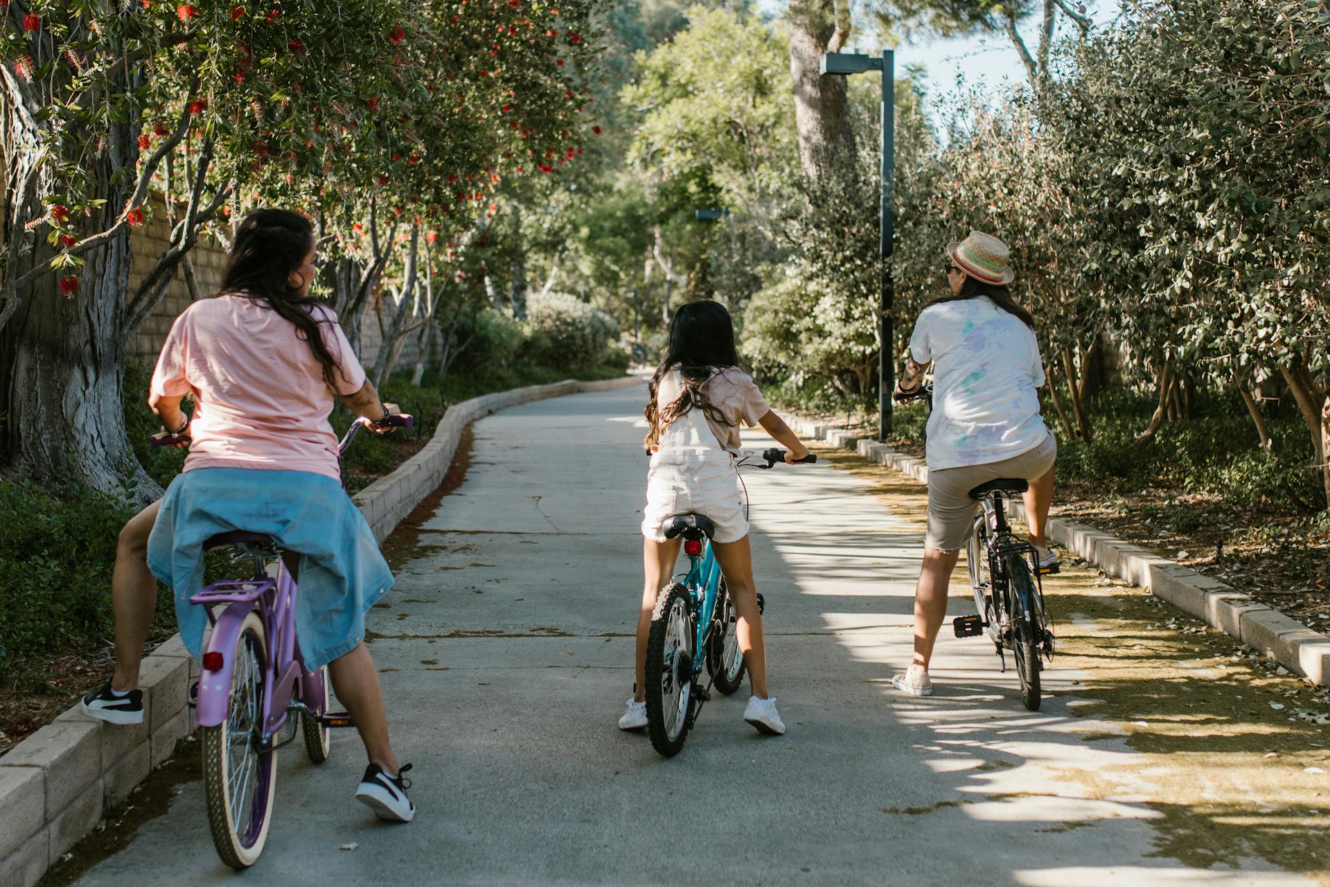 A family enjoying a bicycle ride through a scenic park path lined with trees.