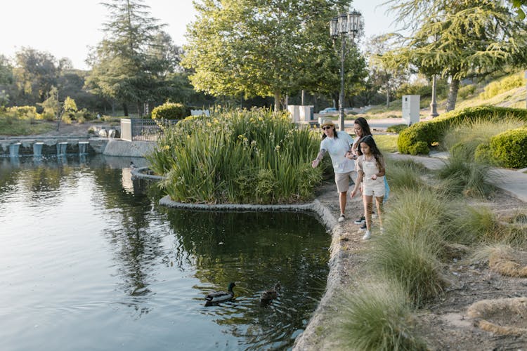 A Family Feeding The Wild Ducks In The Pond