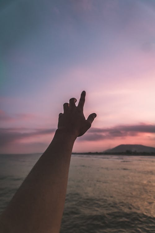 Free Person Taking Photo of Left Hand Stock Photo