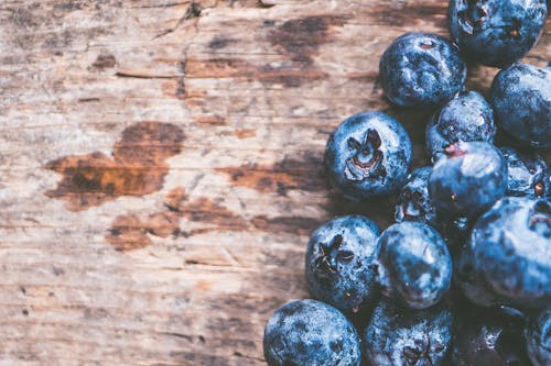 Free Close-Up Photography of Blueberries Stock Photo