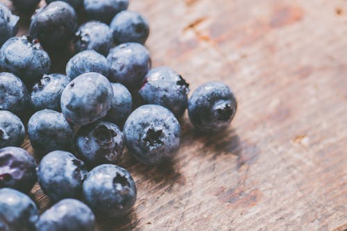 Free Close-Up Photography of Blueberries Stock Photo