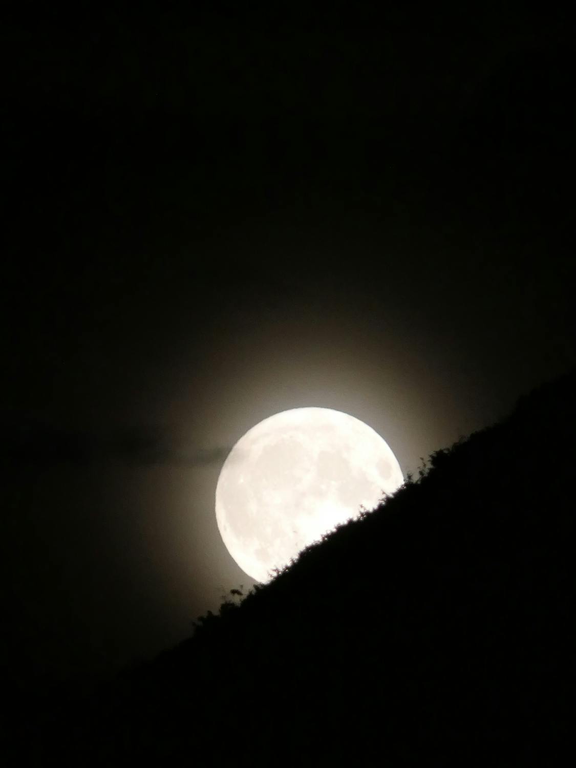 An open Quran on a wooden stand, symbolizing guidance and knowledge.