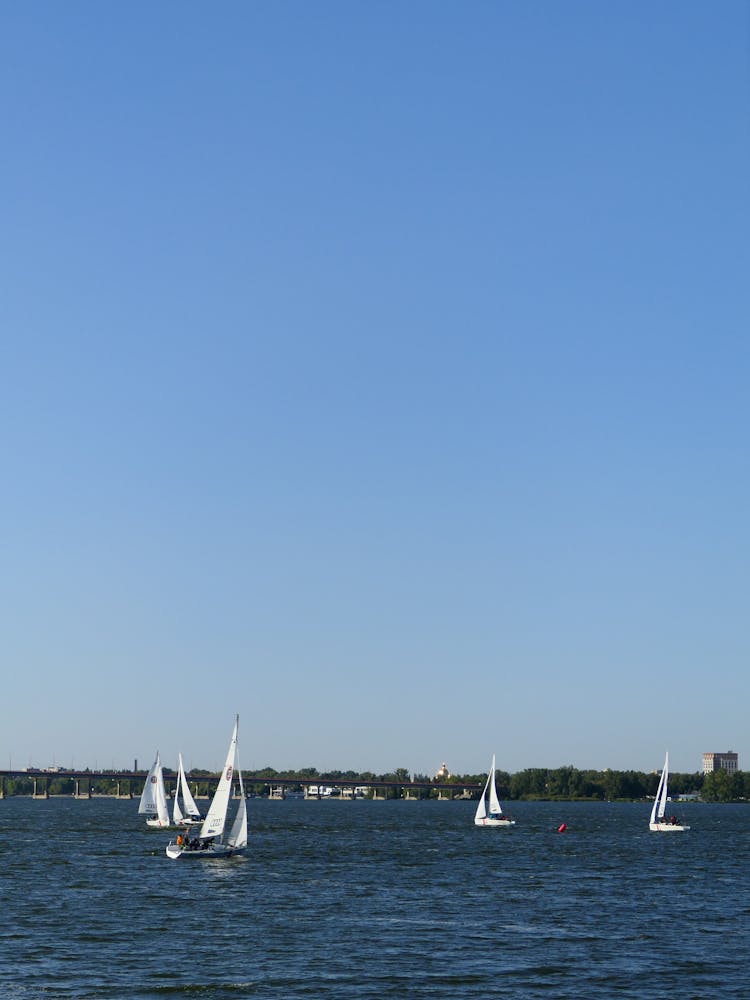 View Of Sailboats On A Lake