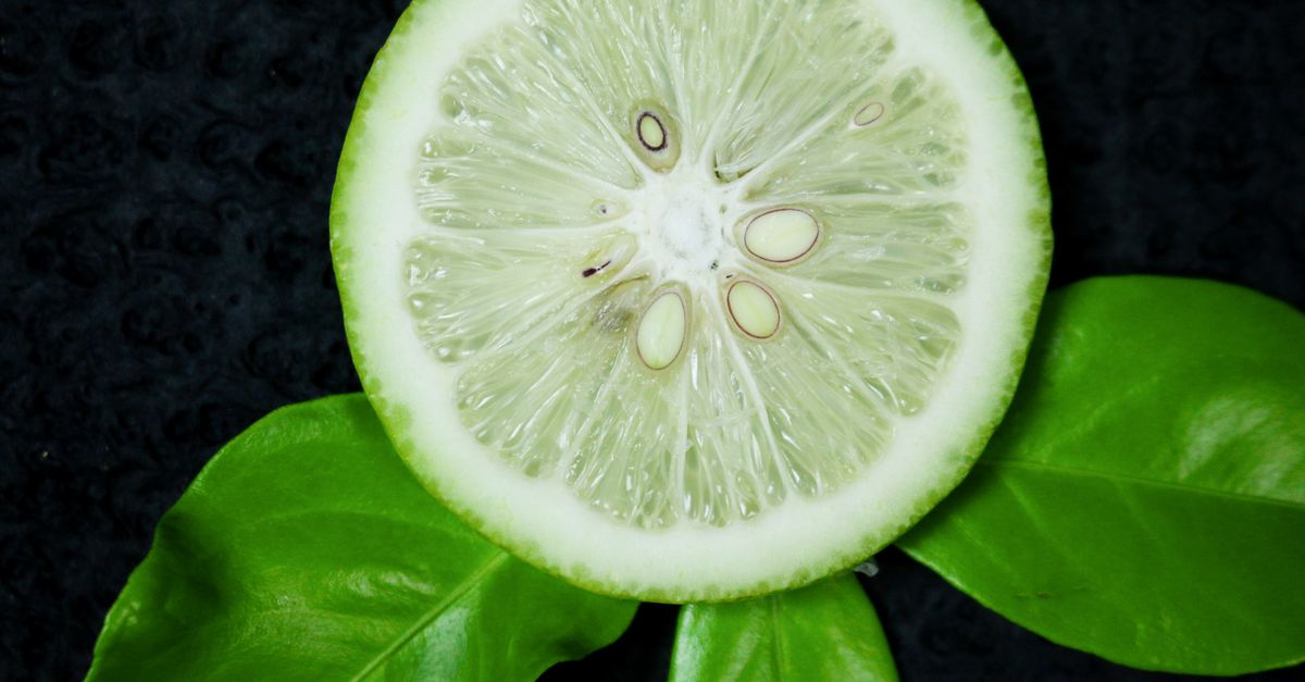 Close-up of a juicy lime slice with vibrant green leaves against a black background. - Evidence evidence guide for citrus bergamot LDL cholesterol meta-analysis