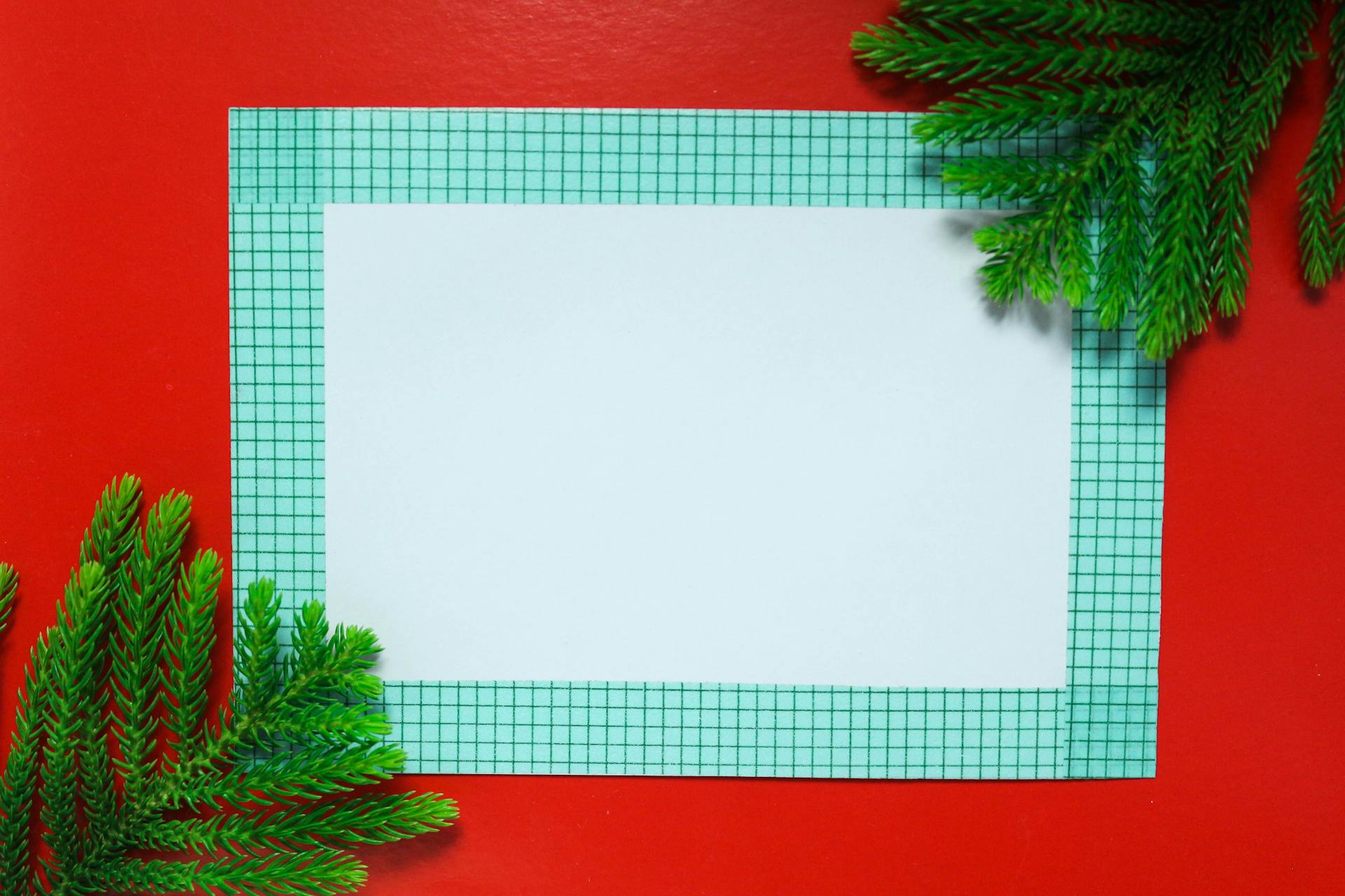 Blank Paper With Grid Border on Red Background