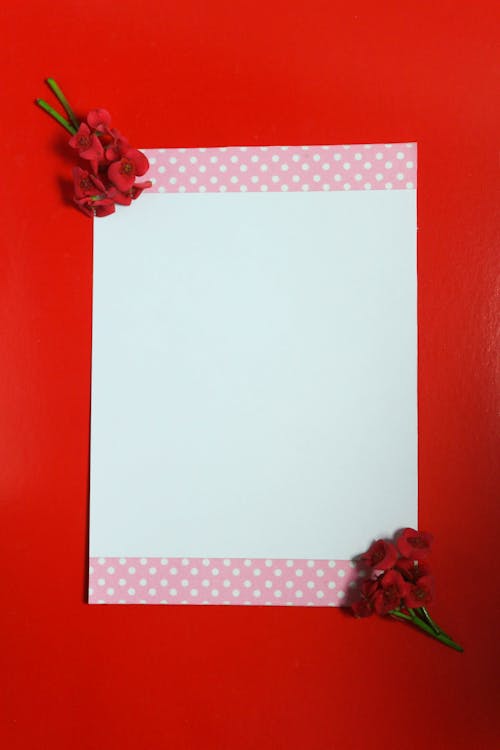 White Blank Paper on Red Background