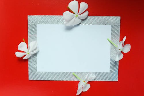 Blank Paper with Stripes and Flowers on Border 