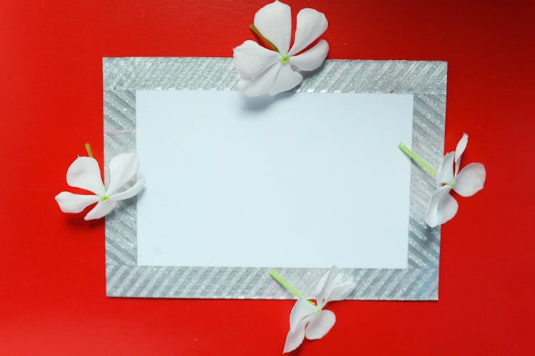 Blank Paper With Stripes And Flowers On Border 