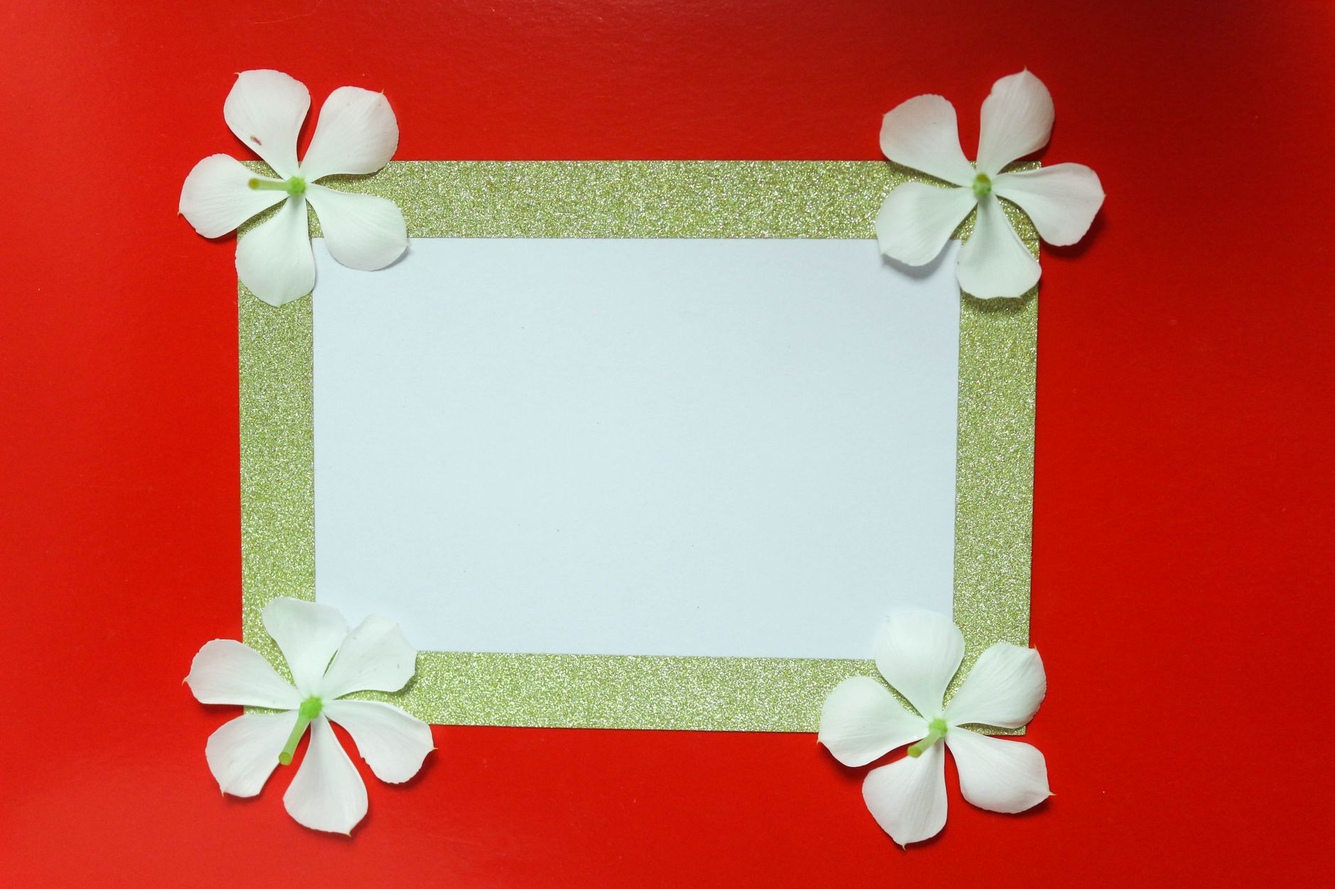 A decorative frame with white flowers on a red background, perfect for invitations or announcements.