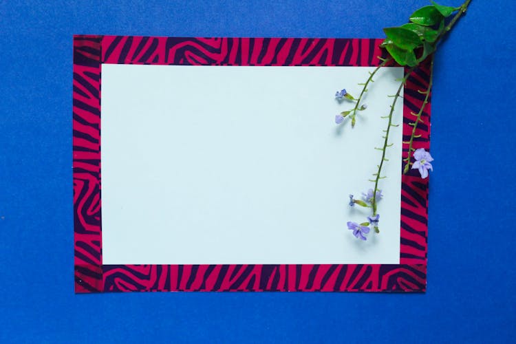 A Paper With An Animal Print Border