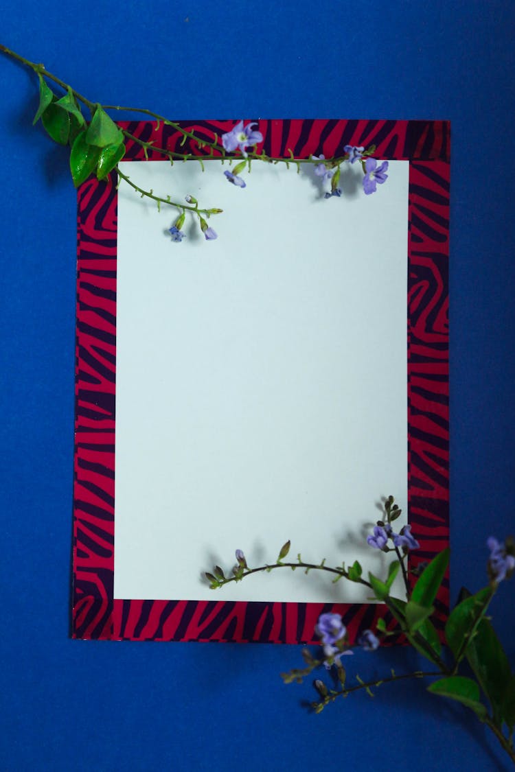 Close-up Of A Blank Piece Of Paper With An Animal Print Border