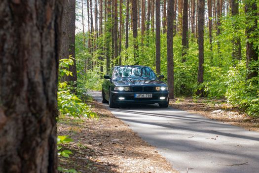 A sleek black luxury car driving through a picturesque forest road on a sunny day.