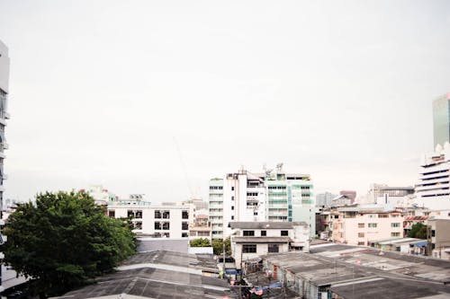 White and Blue Highrise Building at Daytime