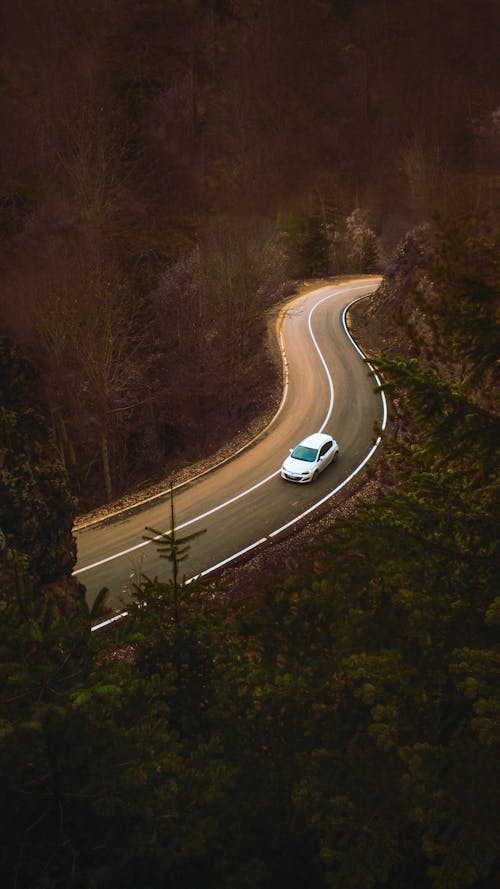 From above of white car driving on asphalt curvy narrow roadway between lush green trees in countryside in evening time