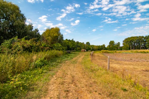 Foto d'estoc gratuïta de agricultura, arbres verds, camp