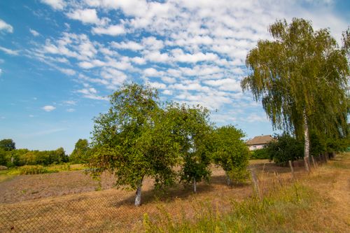 Free A picturesque rural landscape featuring lush green trees under a vibrant blue sky with scattered clouds. Stock Photo