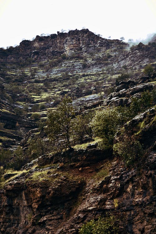 Kostnadsfri bild av berg, bergvandring, dimmig