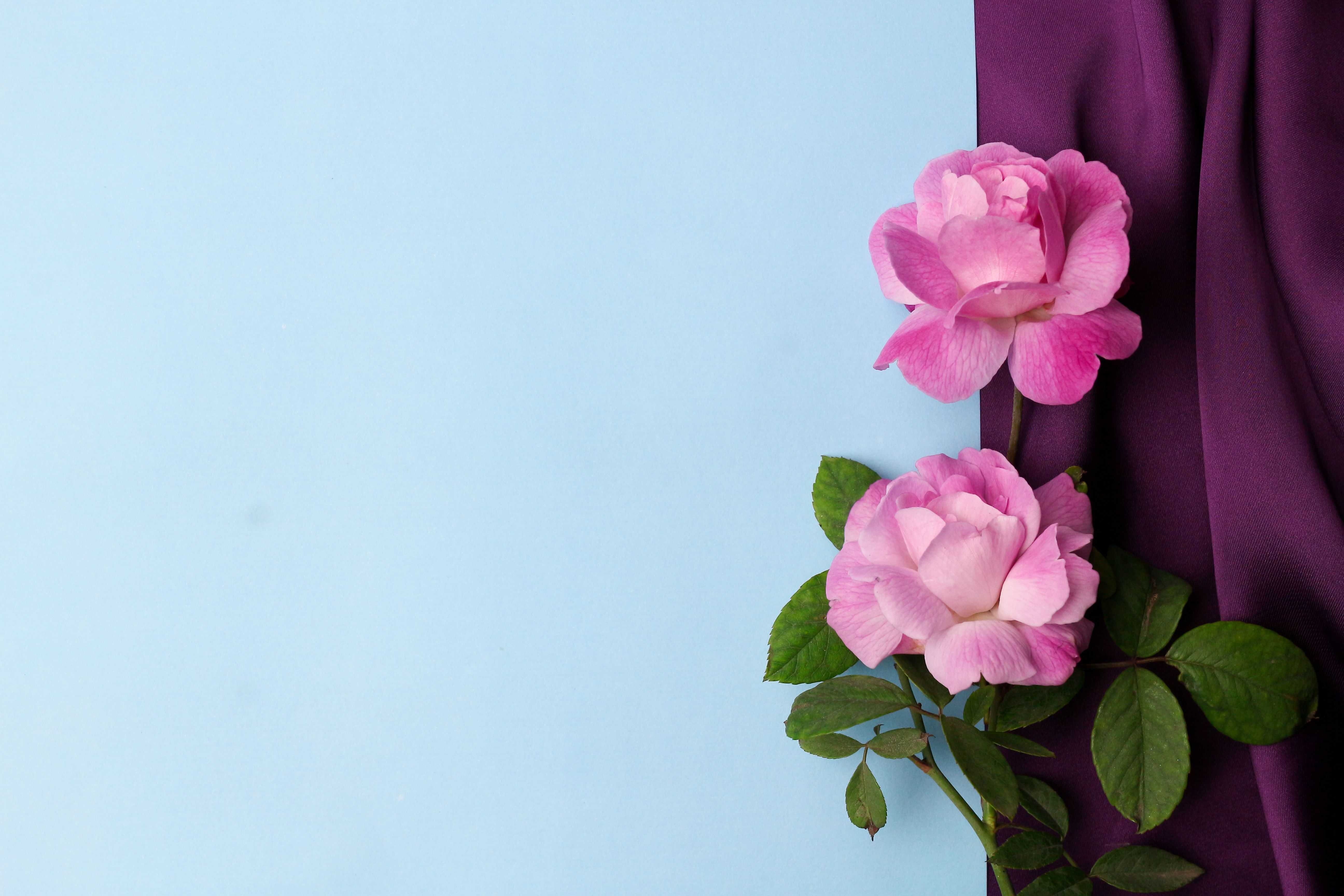 Whisper Silk Scarf