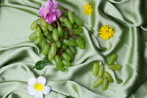 Fruits and Flowers on Green Fabric