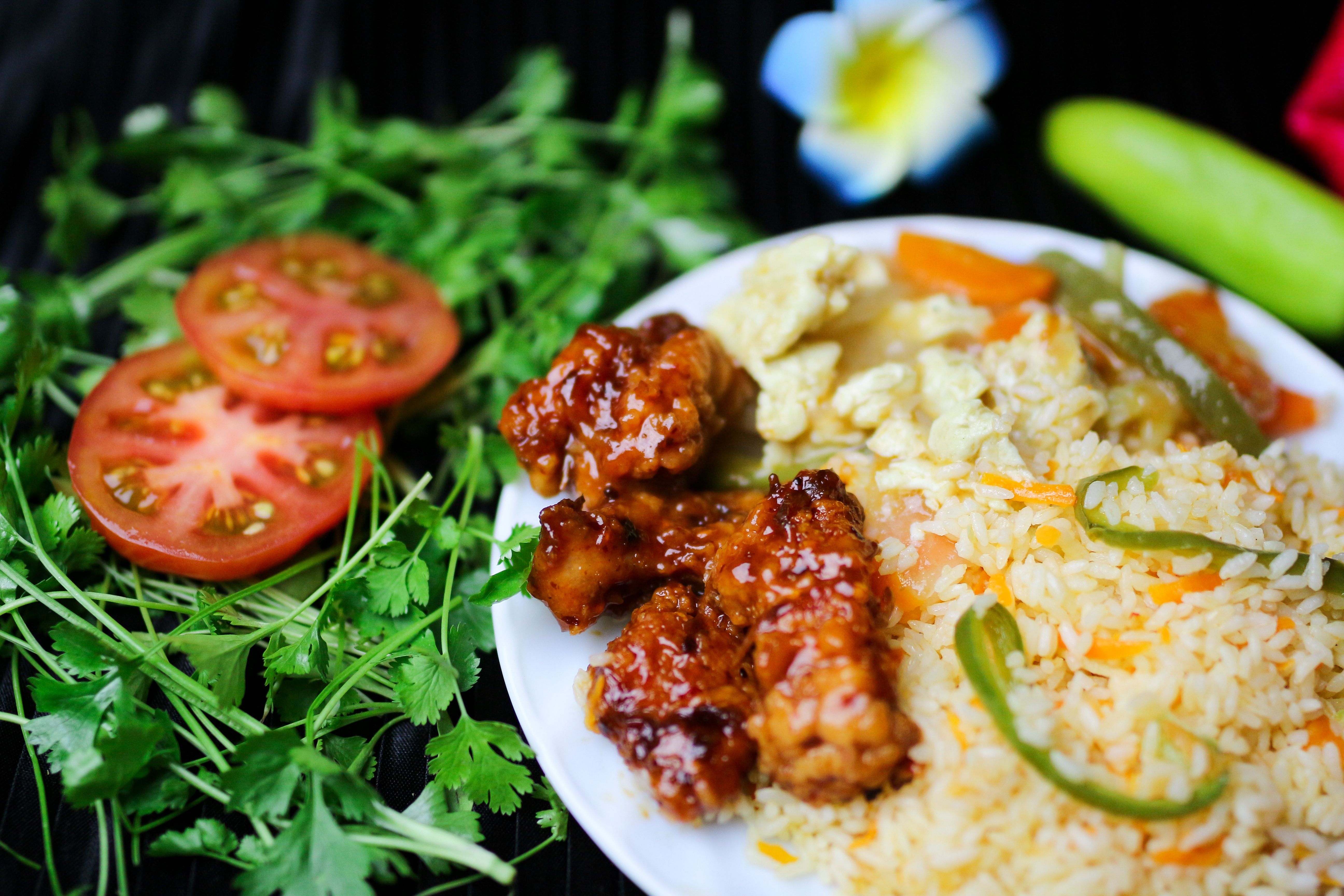 Fresh chicken rice and vegetables prepared as home dog food ingredients