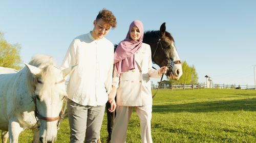 Free A couple walking with horses on a sunny day in a grassy countryside field. Stock Photo
