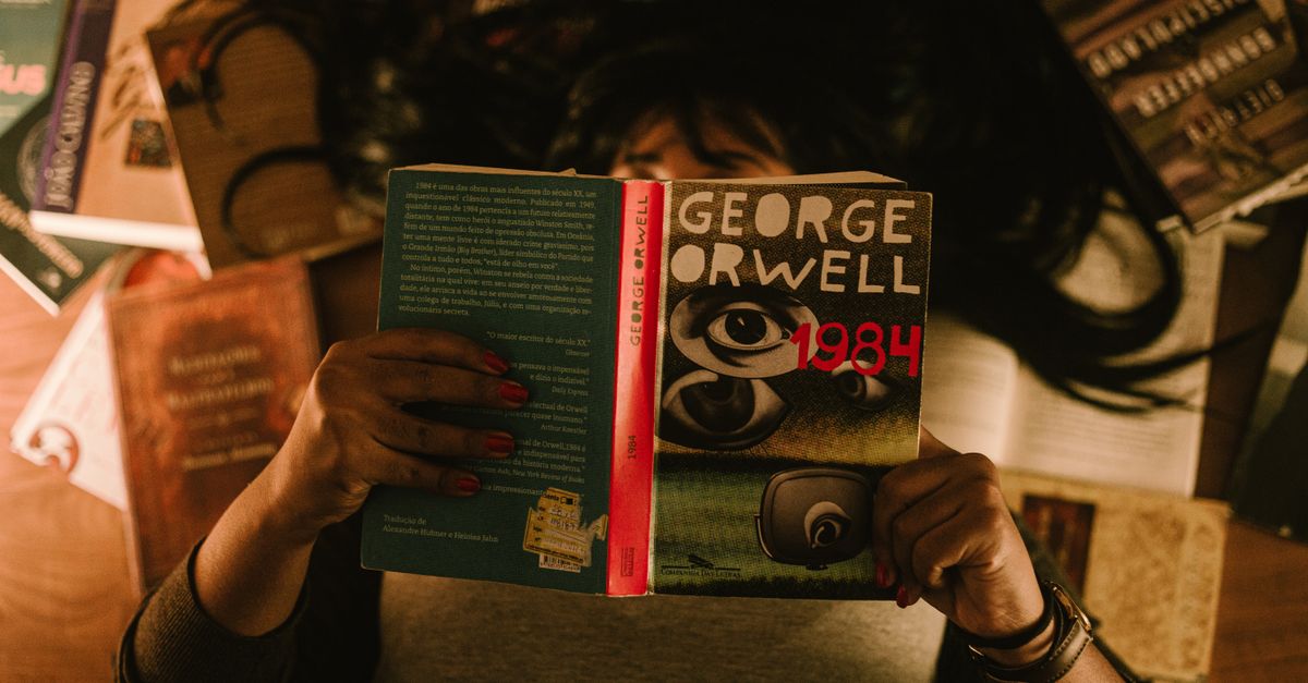 人氣輕小說《中年賢者的異世界生活日記》動畫化確定,卻引發粉絲