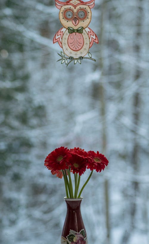 Kostnadsfri bild av blomfotografi, dekoration, keramisk vas