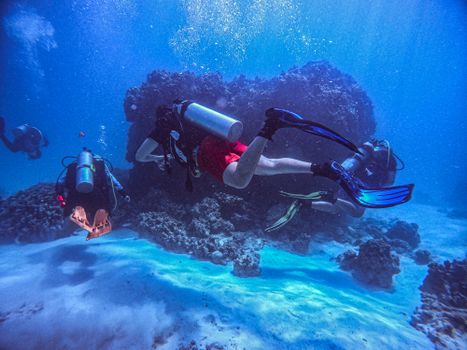 Three scuba divers explore a colorful coral reef, showcasing marine life and underwater adventure.