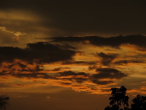 Kostnadsfri bild av blå himmel