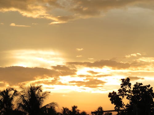 Foto profissional grátis de céu bonito