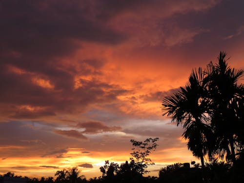 Free stock photo of clouds sky