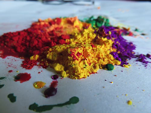 Free stock photo of color, holi