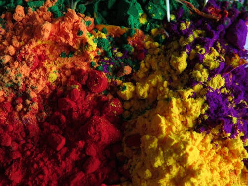 Free stock photo of color, holi