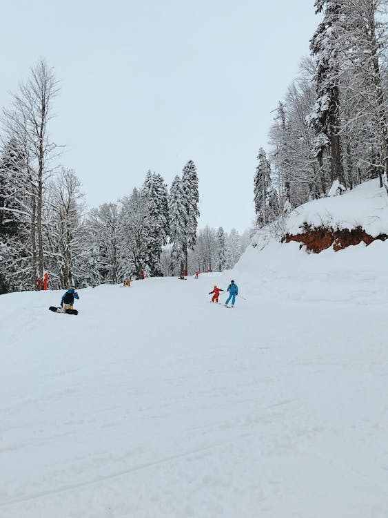 Free People Skiing on a Mountain Ski Resort Stock Photo