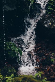 Discover the natural beauty of a tranquil waterfall in Bali's lush green rainforest.