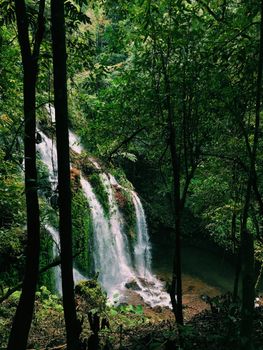 Discover the tranquility of a beautiful waterfall in the vibrant green forests of Bali, Indonesia.