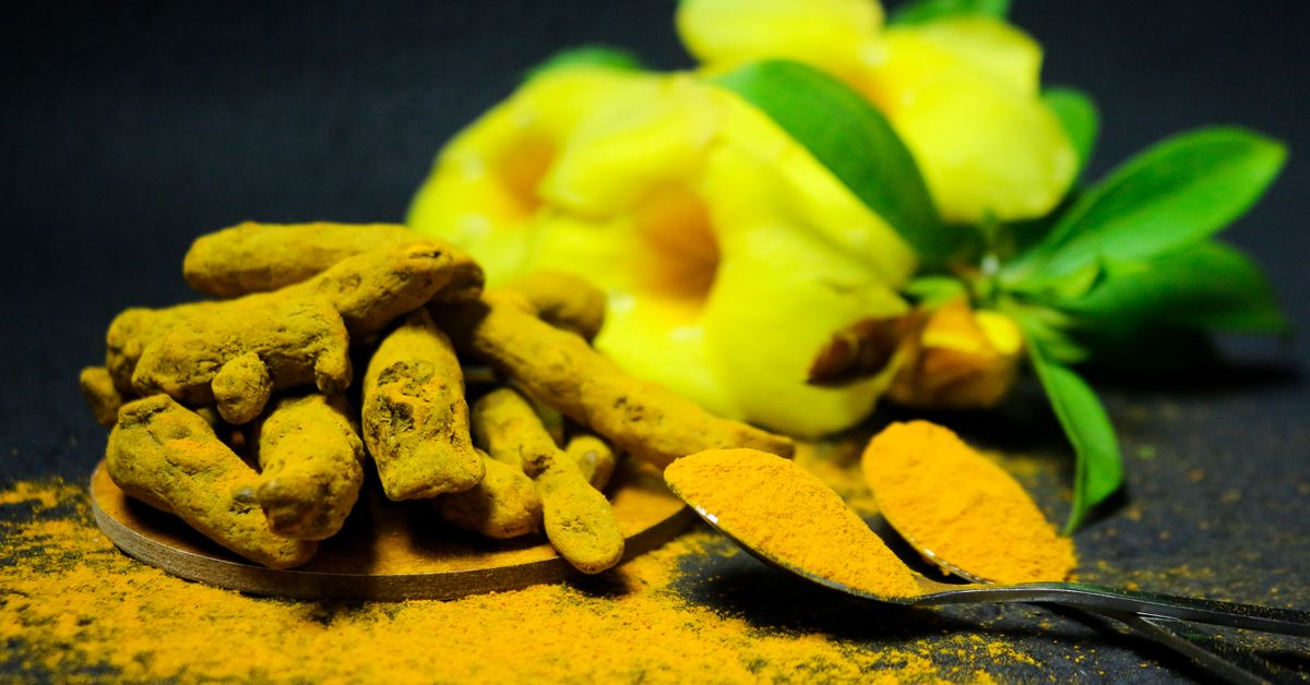 Turmeric root and ground turmeric powder
